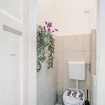 - Large And Comfy Apartament *
