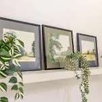Apartament - Large And Comfy